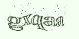 check